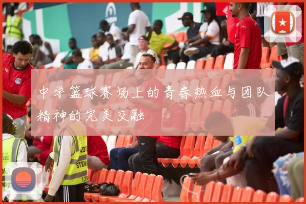 中学篮球赛场上的青春热血与团队精神的完美交融